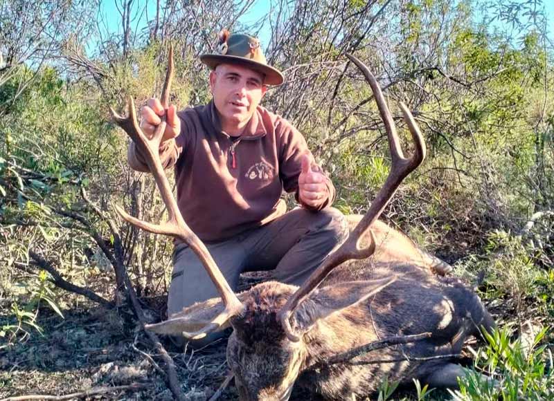 Chaqueta Caza Blaser