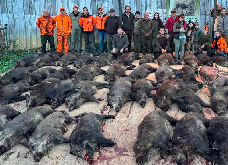 Chaqueta Caza Blaser