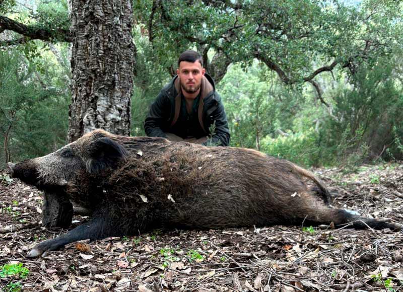 Chaqueta Caza Blaser