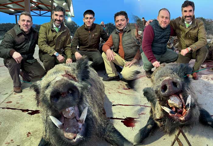 Chaqueta Caza Blaser