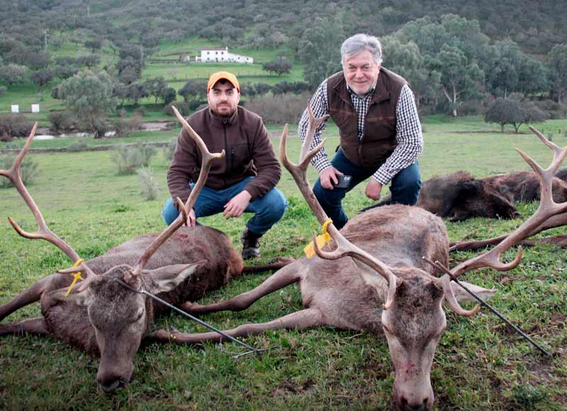 Chaqueta Caza Blaser