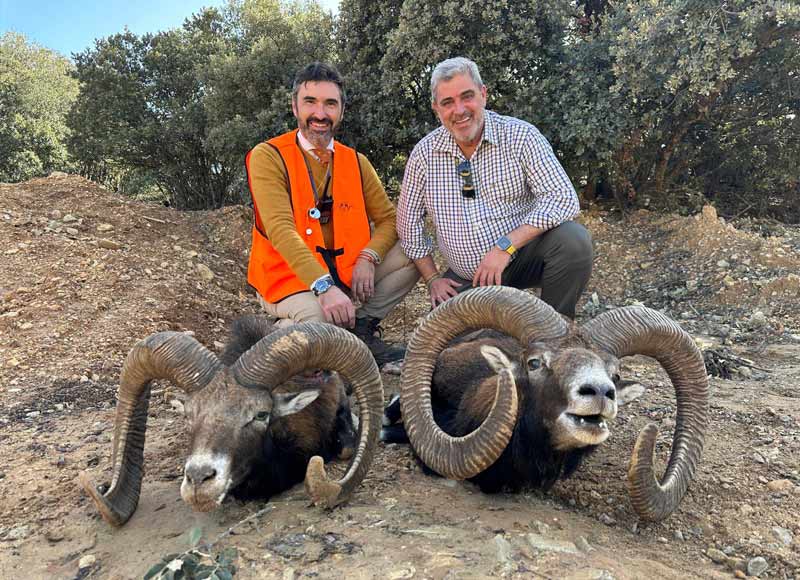 Chaqueta Caza Blaser