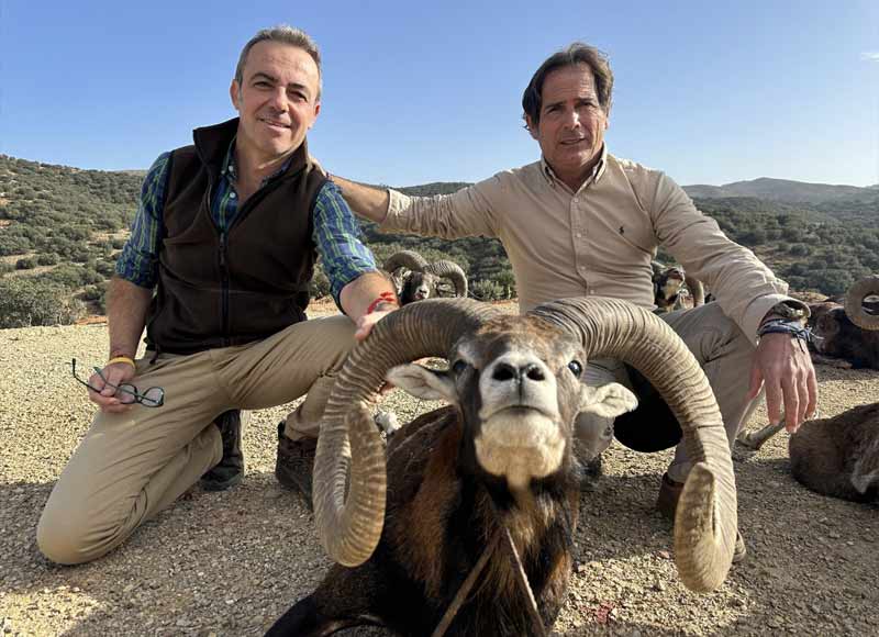 Chaqueta Caza Blaser