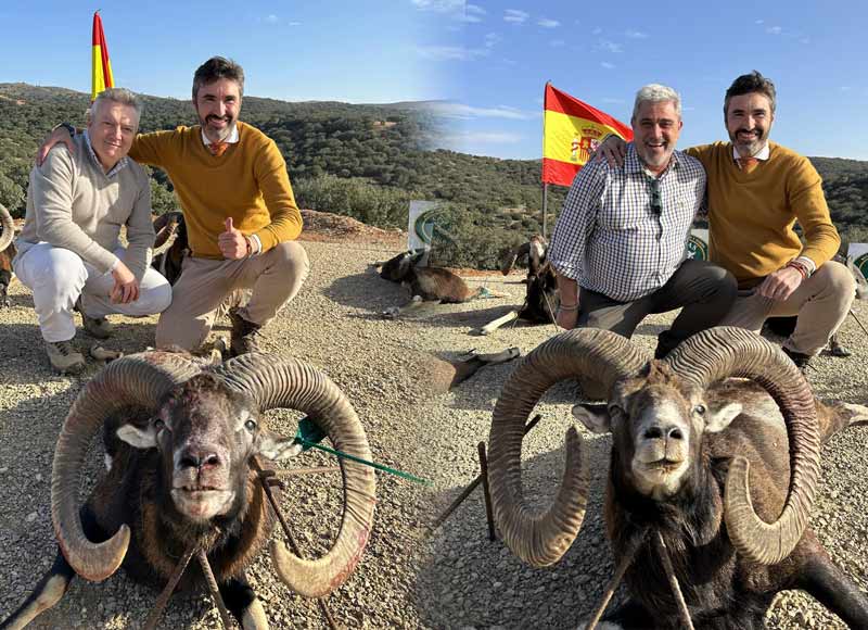 Chaqueta Caza Blaser