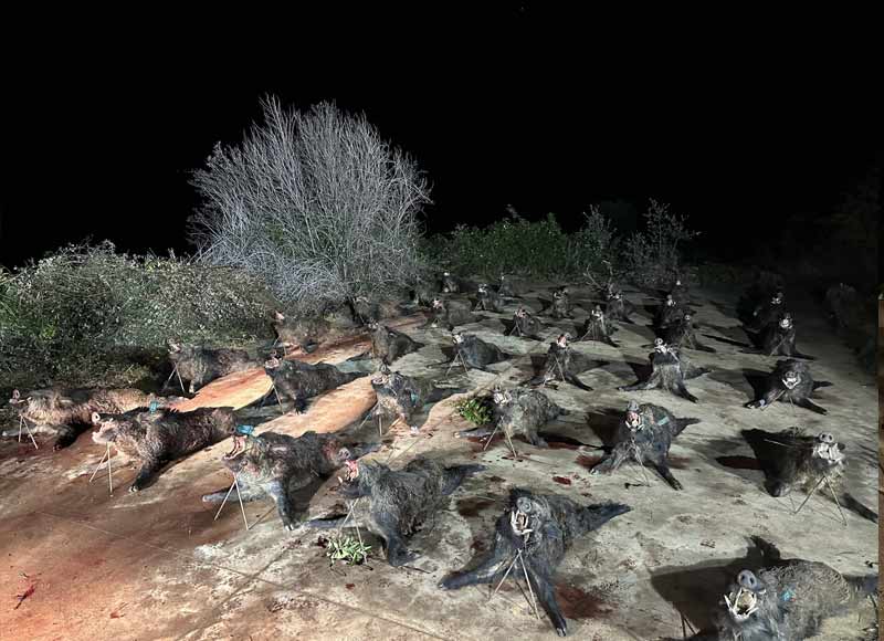 Chaqueta Caza Blaser