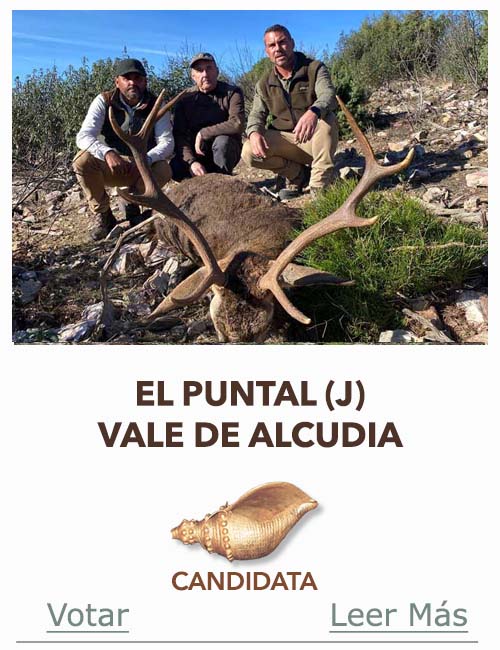 Candidatas 2025 2026 AB Campete