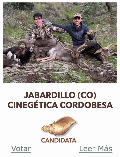 Candidatas 2025 2026 AB Campete