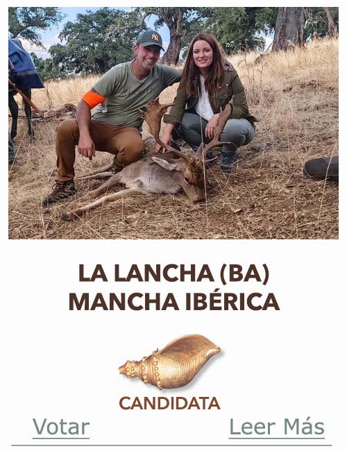 Candidatas 2025 2026 AB Campete