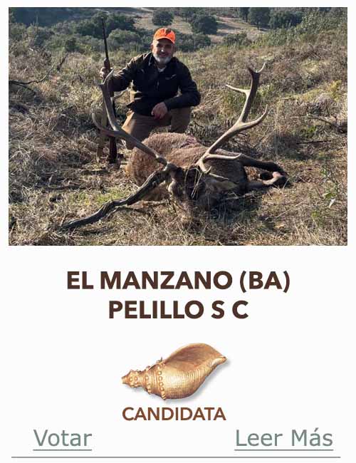 Candidatas 2025 2026 AB Campete