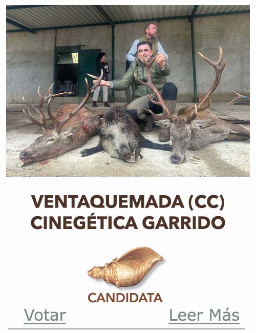 Candidatas 2025 2026 AB Campete