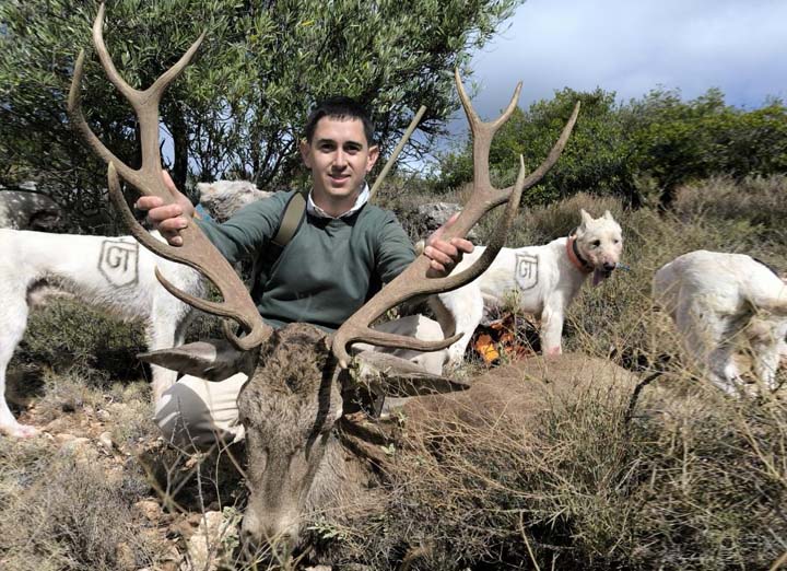 Monteria en Dehesa de las Talas