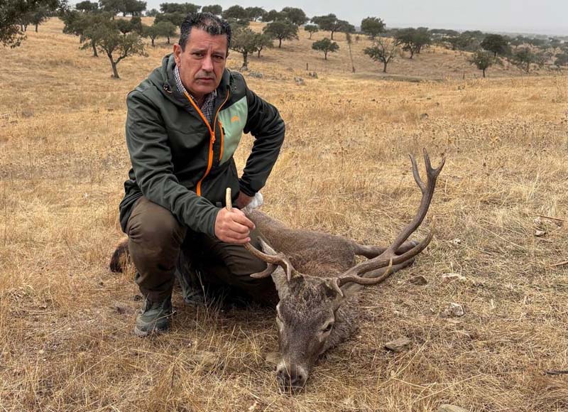Chaqueta Caza Blaser