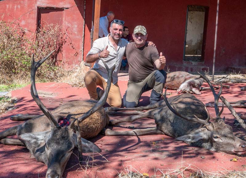 Chaqueta Caza Blaser