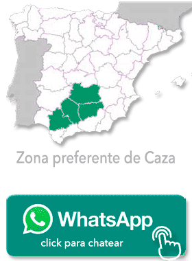 Zona Monterias Riquelme