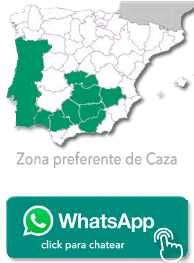 Zona Monterias Riquelme