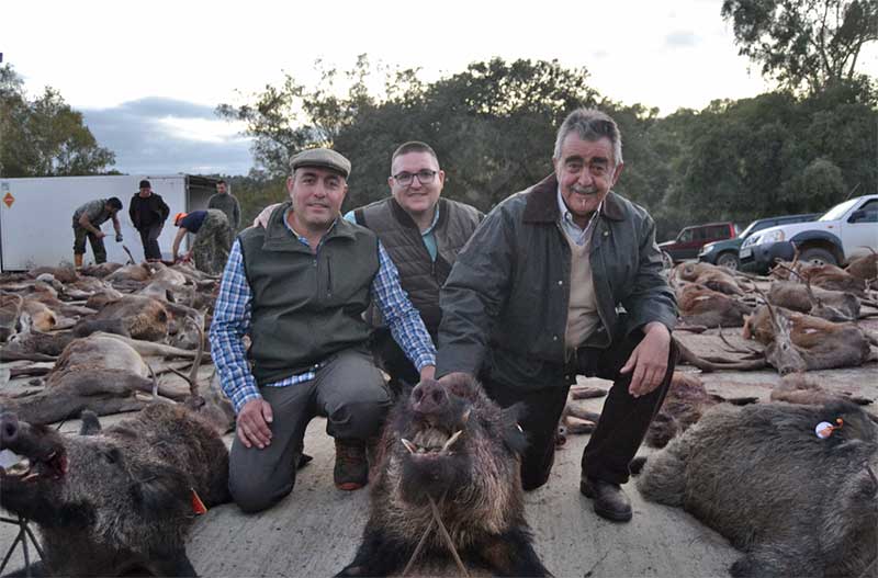 Aljabara201903