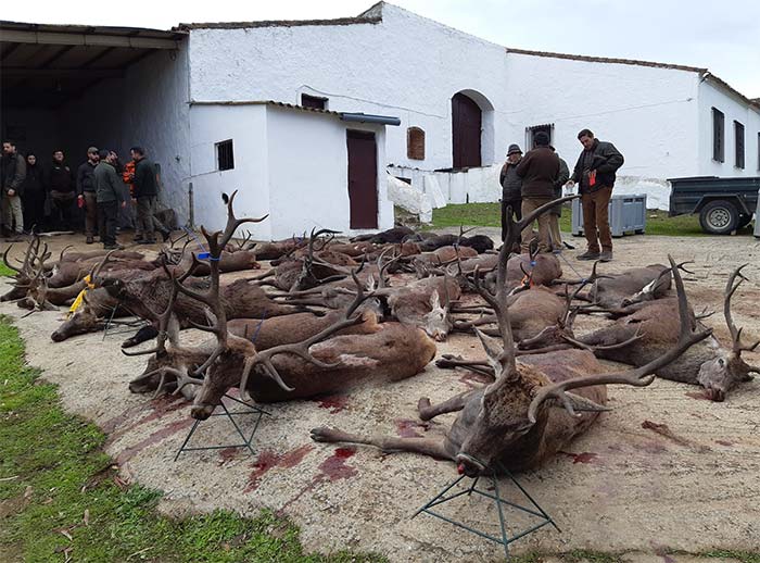 AsientoFarrapo201901