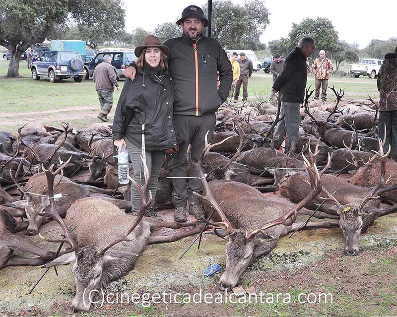 Resultado Montería Benavente 2 2019 Cinegética Alcántara