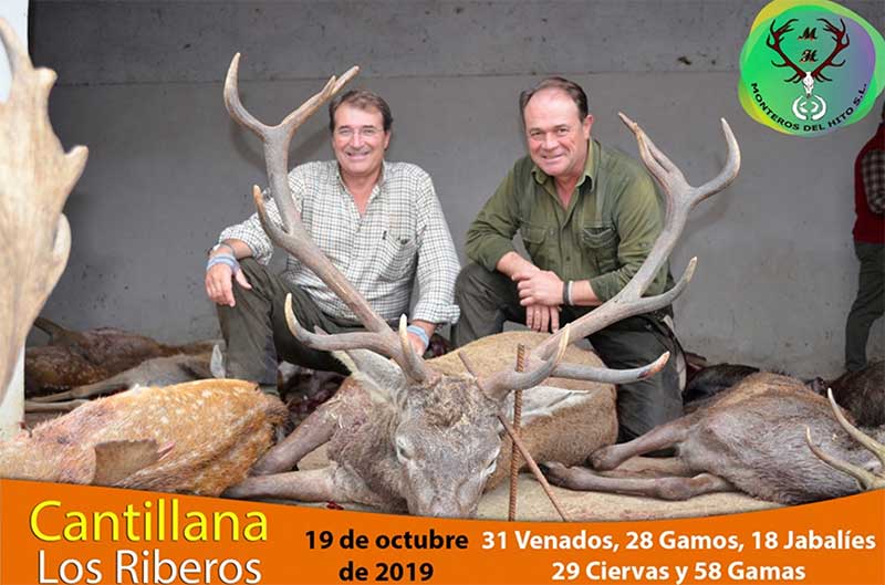 CantillanaRiveros201901