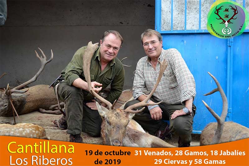 CantillanaRiveros201908