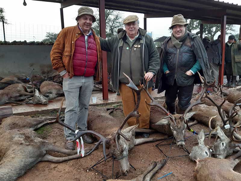 Resultado Montería Chaves y Rodela 2019 Puebla y Estellez