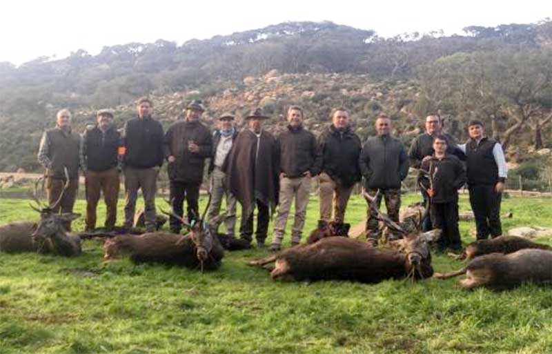 Corchadillosbajos202001