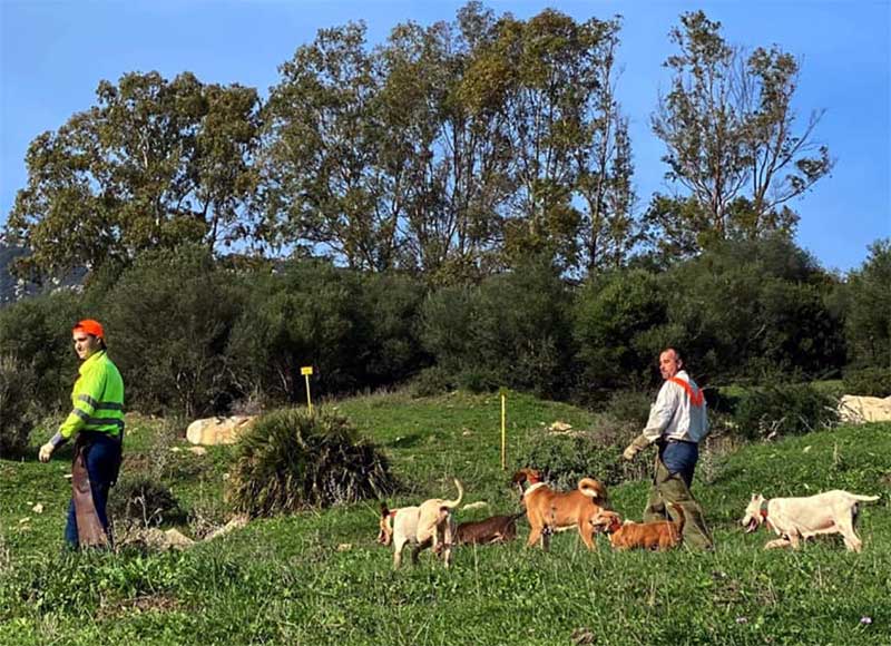 Corchadillosbajos202002