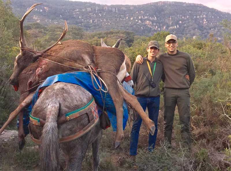 Corchadillosbajos202004