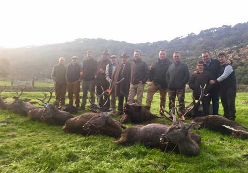 Corchadillosbajos202008