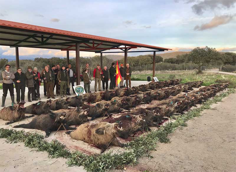 ElCotanoC201901