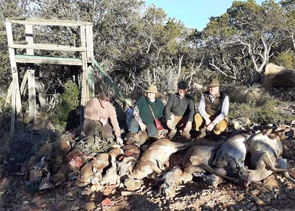 Resultado Montería El Madroñal 2020 Gómez Caza S C