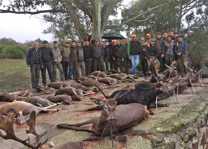 Resultado Montería El Parroso 2019 S C La Gineta