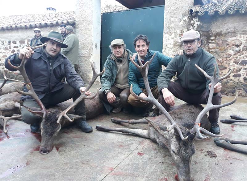 Resultado Montería El Torozo 2 2019 Morales Arce