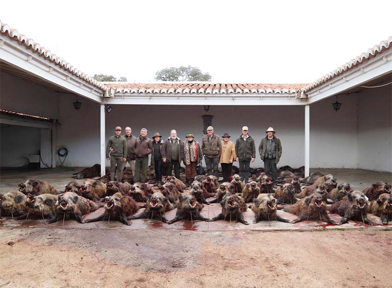 EncomiendaMochuelo201904