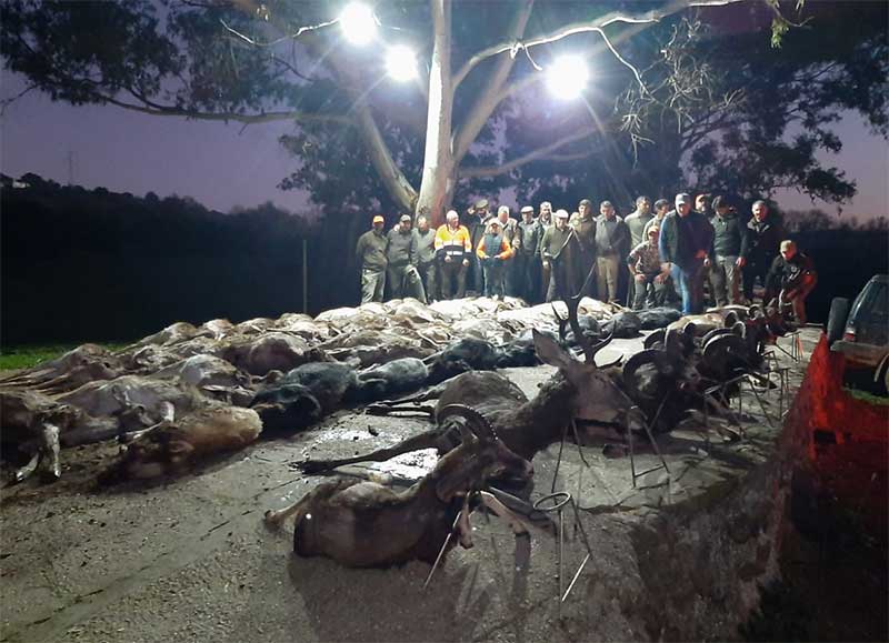 Resultado Montería Garganta del Agua 2020 S C La Gineta