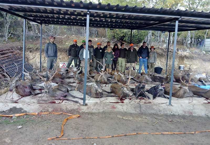 HoyaGuadarranque201901