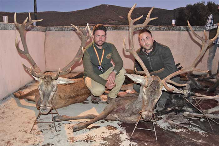 Resultado Montería Jarillas 2019 Cinegética Suroeste