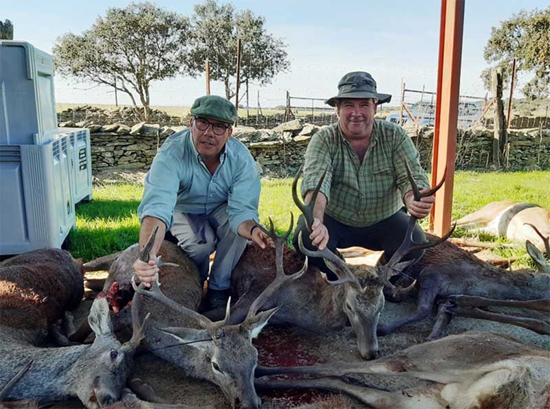 Resultado Montería La Liebre 2019 Puebla y Estellez