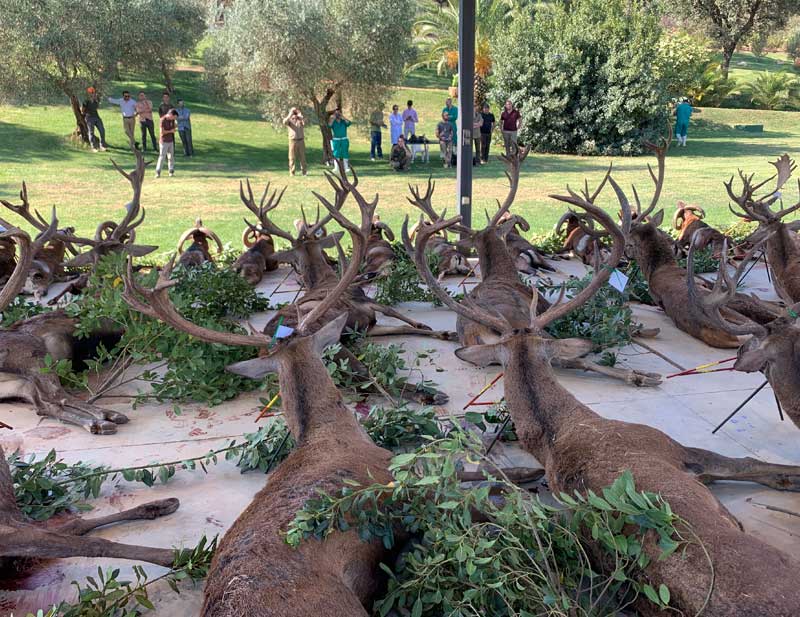 Resultado Montería La Ropera 2019