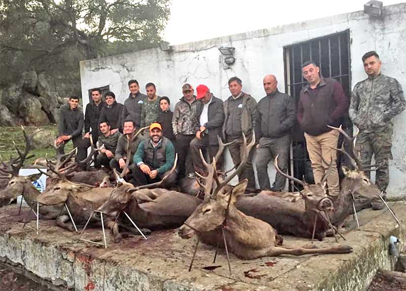 LasGargantillas201901