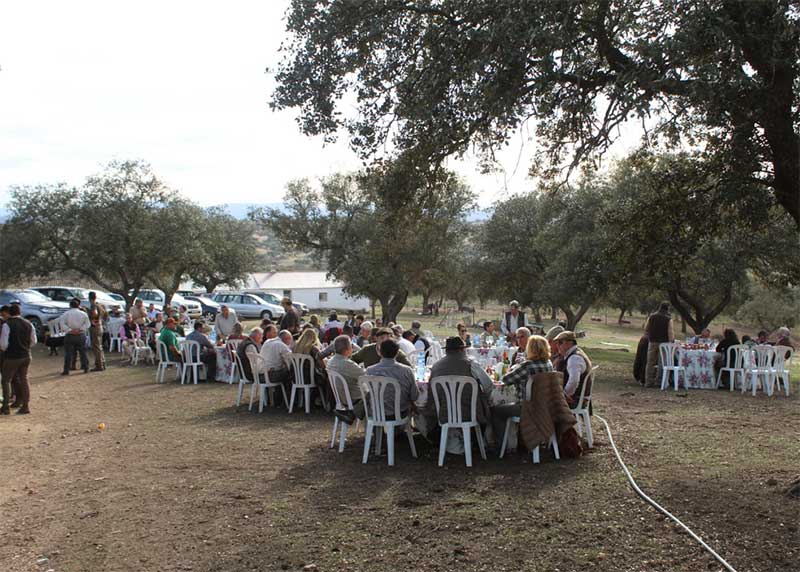 LasMayasN201903