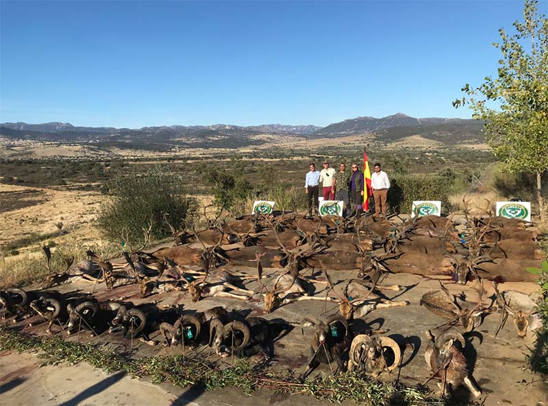 Resultado Montería Los Valles 1 2019 Cabezas S. Caza
