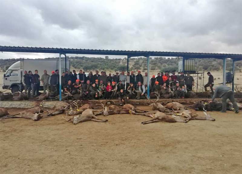 Maroteras201901