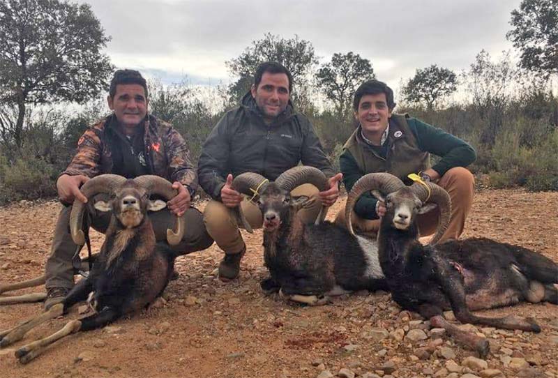 Resultado Montería Medialuna y Sauceral 2019 Pelillo S C