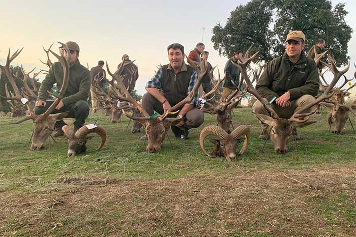 NavalasnoViejo201908