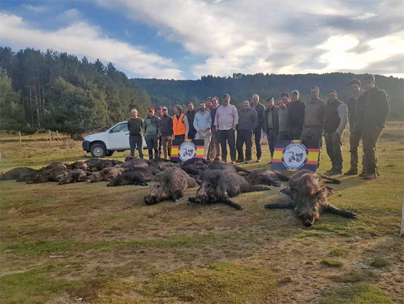 Resultado Montería Navarredonda 2020 Gredos Norte