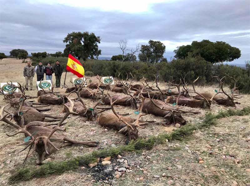 Resultado Montería Andujar 2019 Cabezas S Caza