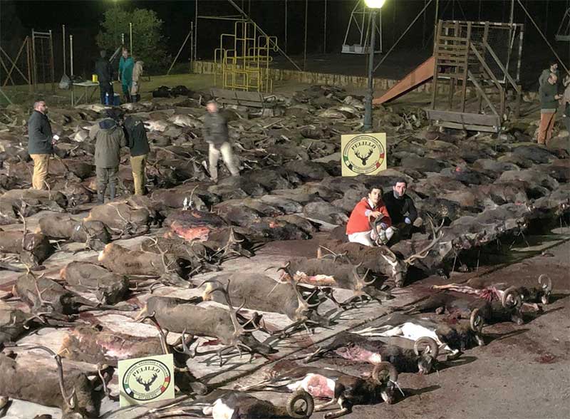 Resultado Montería Los Posteruelos 2020 Pelillo S C