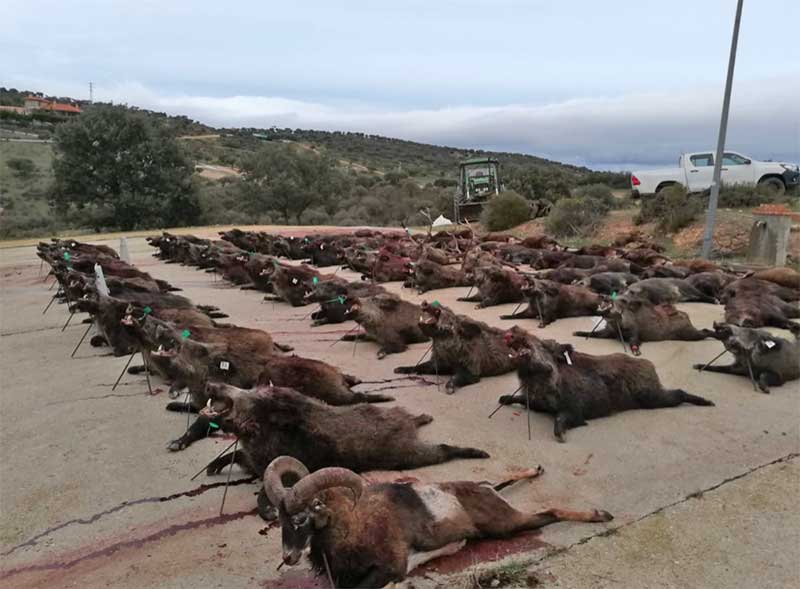 RincondelosCanchos201901