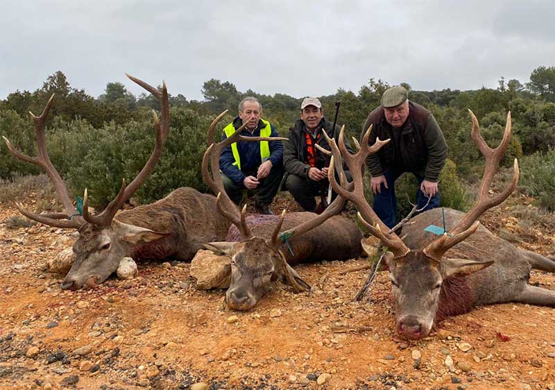 Resultado Montería Santa Quiteria 2020 Cabezas S Caza